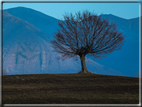 foto Salita dal Monte Tomba a Cima Grappa